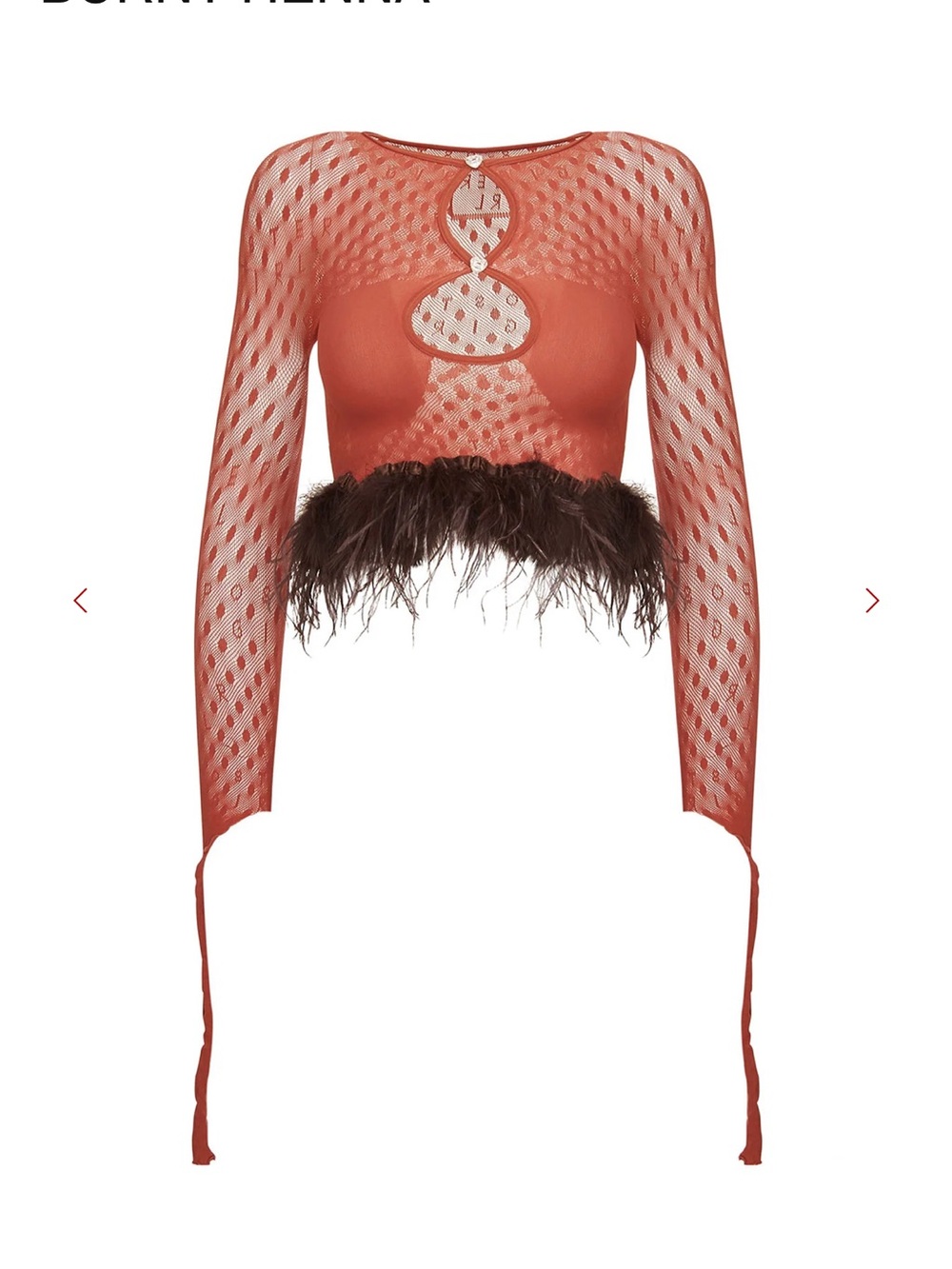 POSTER GIRL Rust Mesh Crop Top with Feather Trim